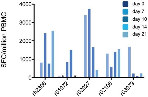 https://cdn.ncbi.nlm.nih.gov/pmc/blobs/bb65/3213121/637d635bb35b/ppat.1002381.g003.jpg