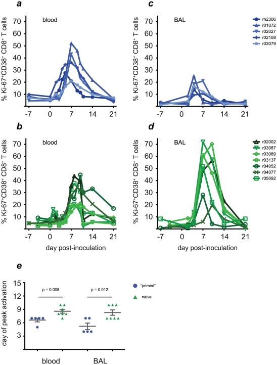 https://cdn.ncbi.nlm.nih.gov/pmc/blobs/bb65/3213121/7238991c48f7/ppat.1002381.g004.jpg