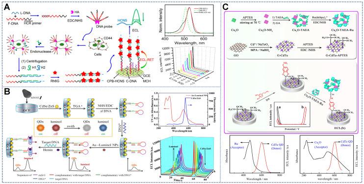 https://cdn.ncbi.nlm.nih.gov/pmc/blobs/bb66/9516240/155bf3231269/thnov12p6779g002.jpg