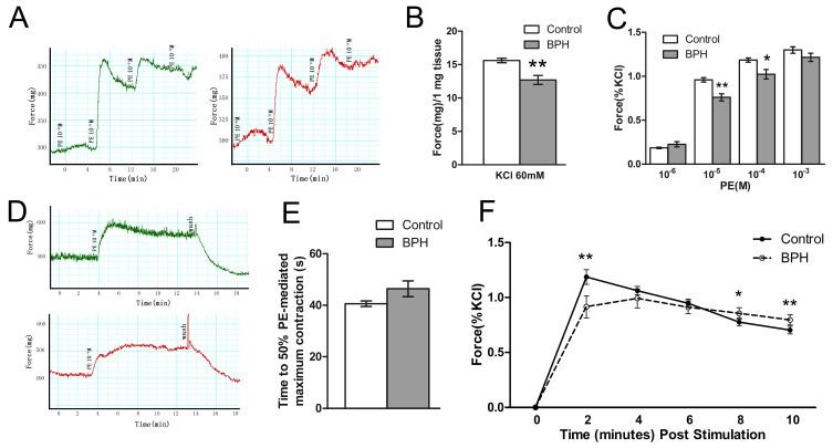 https://cdn.ncbi.nlm.nih.gov/pmc/blobs/bb67/11051519/28ccaf23e239/jpm-14-00381-g007.jpg