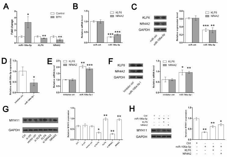 https://cdn.ncbi.nlm.nih.gov/pmc/blobs/bb67/11051519/96f8f7192c00/jpm-14-00381-g009.jpg