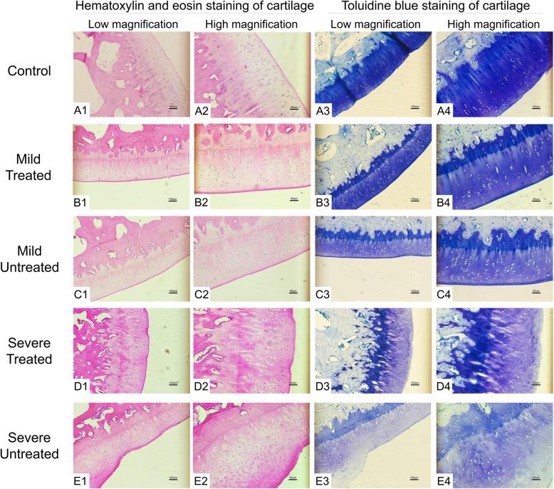 https://cdn.ncbi.nlm.nih.gov/pmc/blobs/bb69/7133006/1ce9c72b916e/13075_2020_2155_Fig10_HTML.jpg