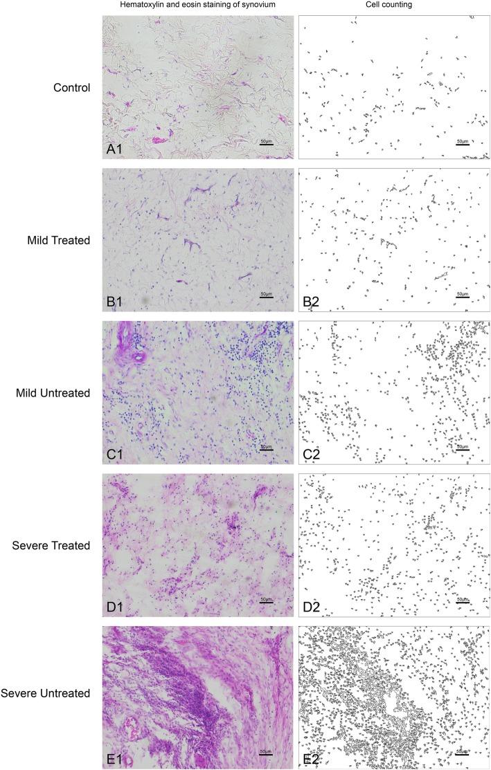 https://cdn.ncbi.nlm.nih.gov/pmc/blobs/bb69/7133006/ad431017f1fd/13075_2020_2155_Fig4_HTML.jpg
