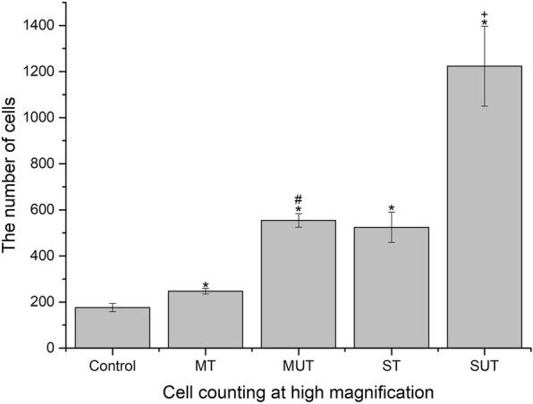 https://cdn.ncbi.nlm.nih.gov/pmc/blobs/bb69/7133006/c1925df7d44d/13075_2020_2155_Fig5_HTML.jpg