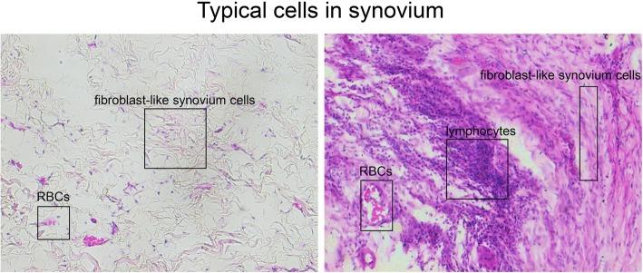 https://cdn.ncbi.nlm.nih.gov/pmc/blobs/bb69/7133006/eb72a9d96594/13075_2020_2155_Fig8_HTML.jpg