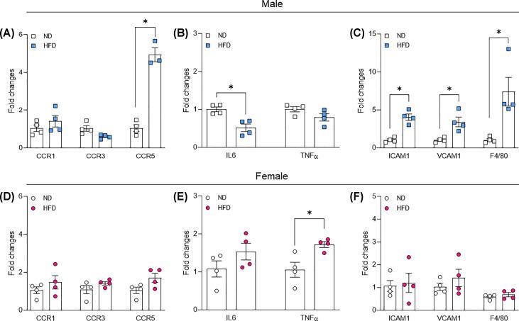 https://cdn.ncbi.nlm.nih.gov/pmc/blobs/bb6a/10352127/5debd5c3d781/bsr-43-bsr20230672-g4.jpg