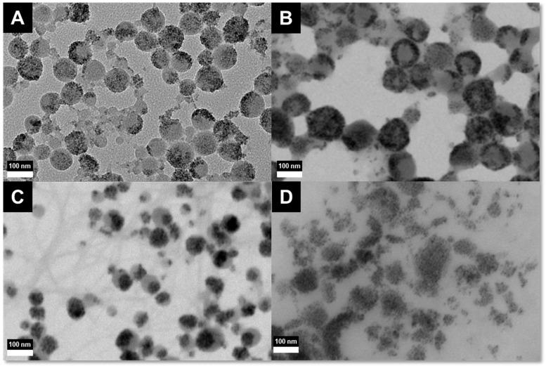 https://cdn.ncbi.nlm.nih.gov/pmc/blobs/bb6a/4581323/581df43e3471/ijms-16-19752-g002.jpg