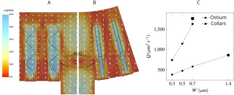 https://cdn.ncbi.nlm.nih.gov/pmc/blobs/bb6d/7755389/1360a285ab25/elife-61012-fig3.jpg