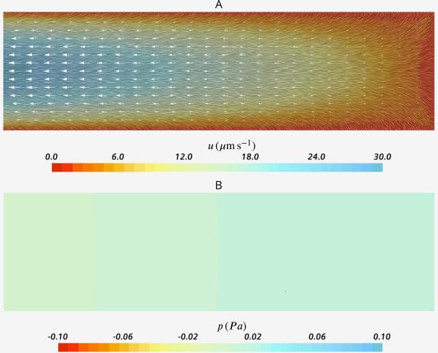 https://cdn.ncbi.nlm.nih.gov/pmc/blobs/bb6d/7755389/41e869d553ec/elife-61012-app2-fig2.jpg