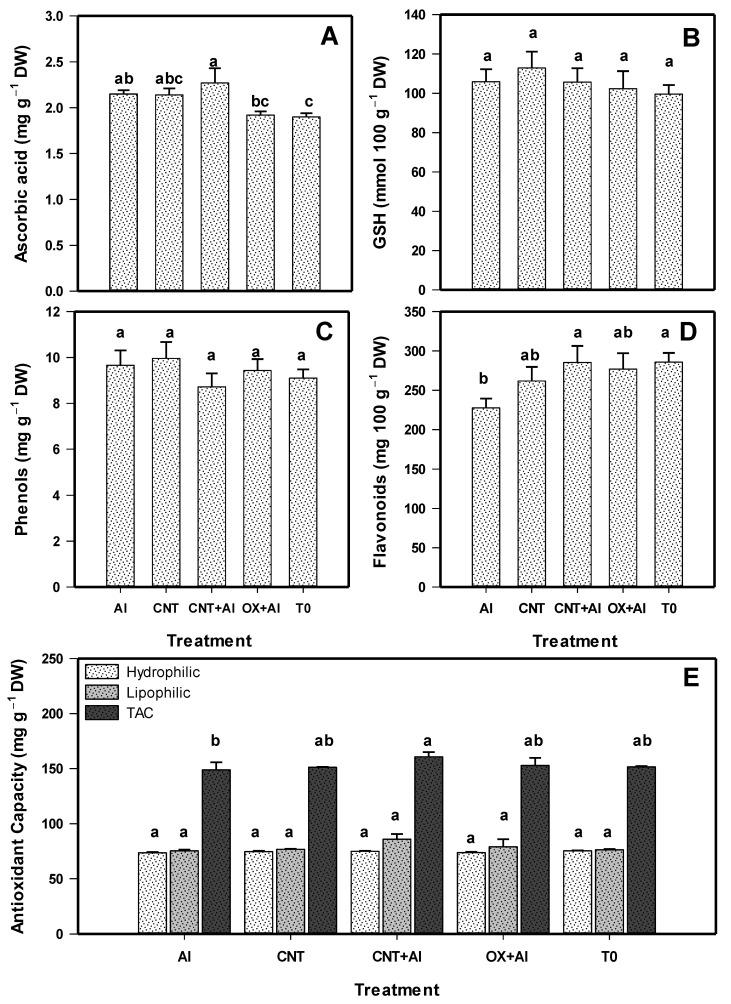 https://cdn.ncbi.nlm.nih.gov/pmc/blobs/bb6d/8143504/05d5b2784f66/nanomaterials-11-01080-g005.jpg