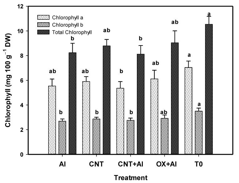 https://cdn.ncbi.nlm.nih.gov/pmc/blobs/bb6d/8143504/7e03ee639cc8/nanomaterials-11-01080-g004.jpg