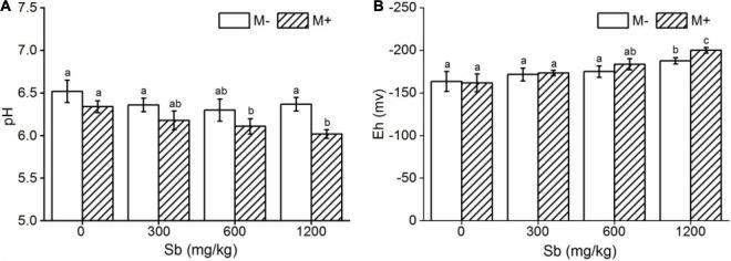 https://cdn.ncbi.nlm.nih.gov/pmc/blobs/bb70/8981305/8a26e7cda6c8/fmicb-13-814323-g005.jpg