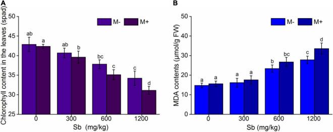 https://cdn.ncbi.nlm.nih.gov/pmc/blobs/bb70/8981305/e241e516a0f7/fmicb-13-814323-g003.jpg