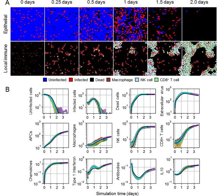 https://cdn.ncbi.nlm.nih.gov/pmc/blobs/bb71/8478073/ac6212a3270e/gr3_lrg.jpg
