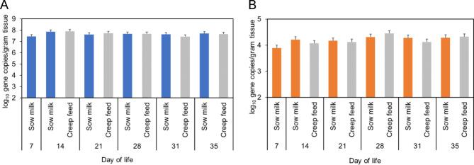 https://cdn.ncbi.nlm.nih.gov/pmc/blobs/bb72/11680871/12c4c1013de8/41598_2024_81227_Fig1_HTML.jpg