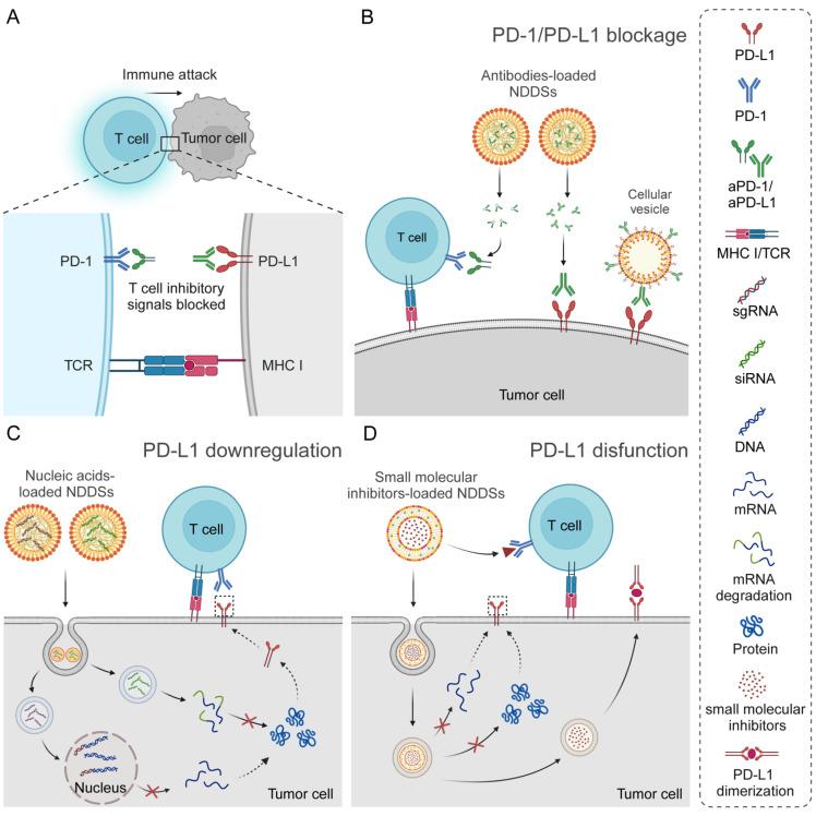 https://cdn.ncbi.nlm.nih.gov/pmc/blobs/bb72/12036873/27f378ca6349/thnov15p5440g002.jpg
