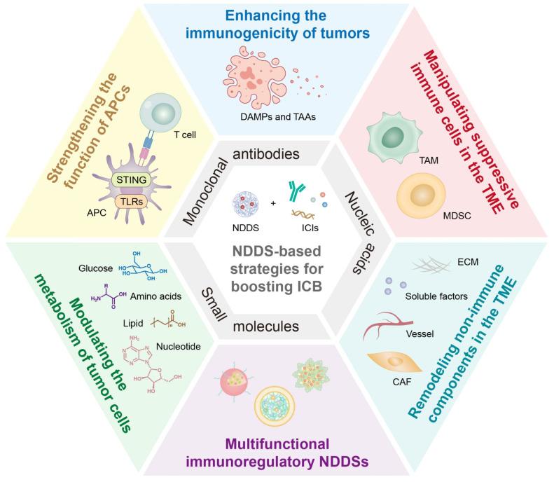 https://cdn.ncbi.nlm.nih.gov/pmc/blobs/bb72/12036873/775a4fcbceaf/thnov15p5440g001.jpg