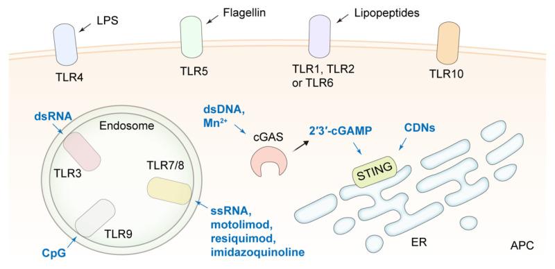 https://cdn.ncbi.nlm.nih.gov/pmc/blobs/bb72/12036873/f1663e99a498/thnov15p5440g005.jpg