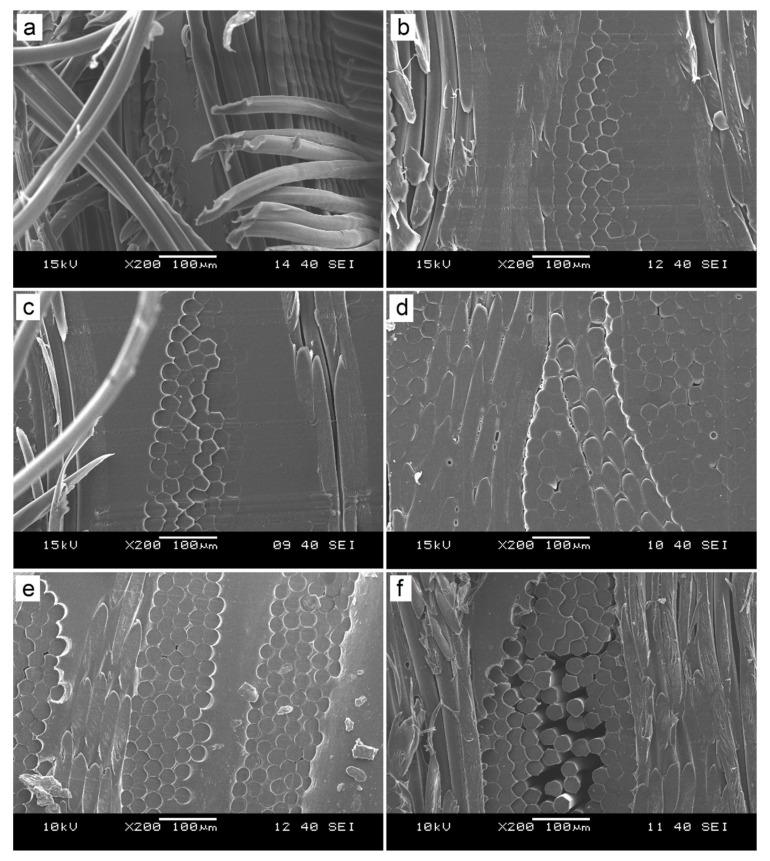 https://cdn.ncbi.nlm.nih.gov/pmc/blobs/bb73/7361697/53925890cee1/polymers-12-01429-g005.jpg