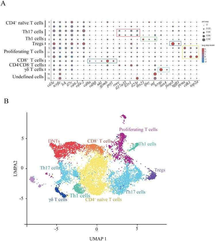 https://cdn.ncbi.nlm.nih.gov/pmc/blobs/bb7a/12353724/49fc0ffed5ee/fimmu-16-1633701-g002.jpg