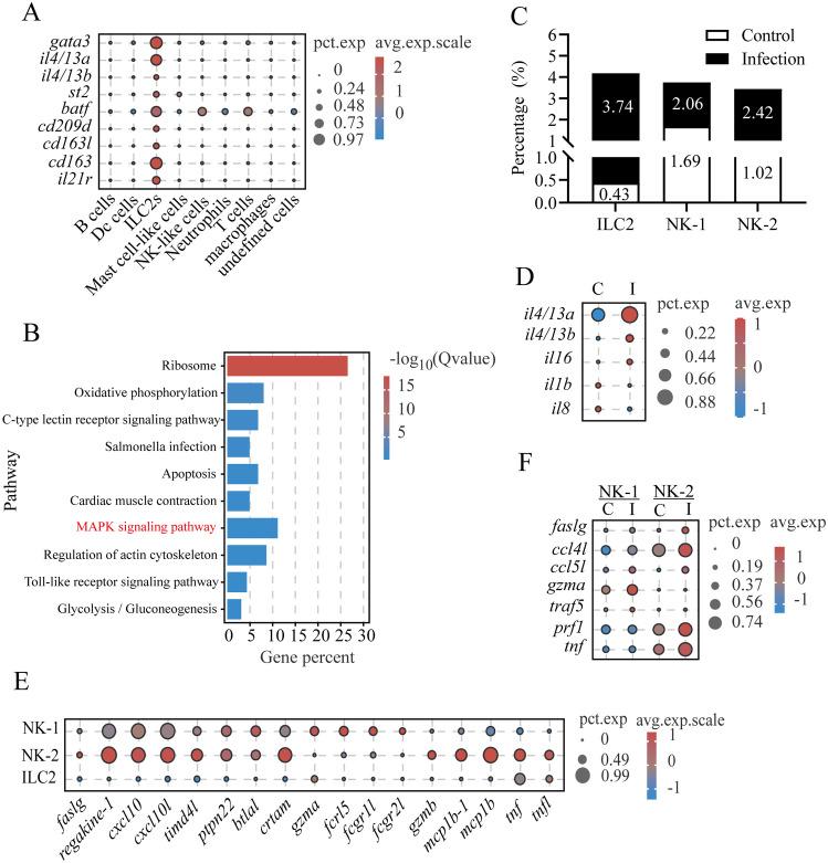 https://cdn.ncbi.nlm.nih.gov/pmc/blobs/bb7a/12353724/78b5797bd261/fimmu-16-1633701-g006.jpg