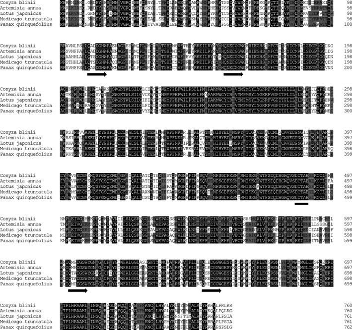 https://cdn.ncbi.nlm.nih.gov/pmc/blobs/bb7d/5623702/efd9dfcef752/FEB4-7-1575-g003.jpg