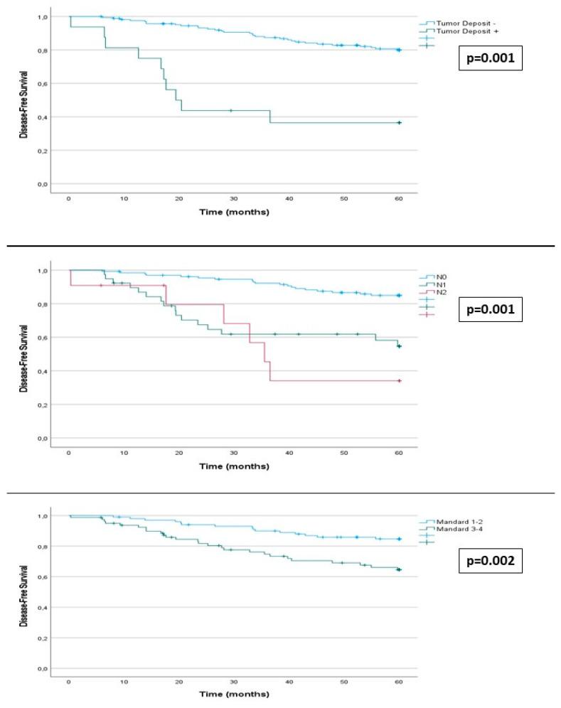 https://cdn.ncbi.nlm.nih.gov/pmc/blobs/bb7e/11119053/43d08aac3e0c/cancers-16-01797-g003.jpg