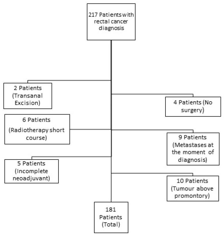 https://cdn.ncbi.nlm.nih.gov/pmc/blobs/bb7e/11119053/edac41873c45/cancers-16-01797-g001.jpg