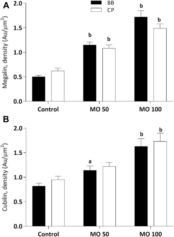 https://cdn.ncbi.nlm.nih.gov/pmc/blobs/bb7e/5678615/317a54c775f0/gr7.jpg