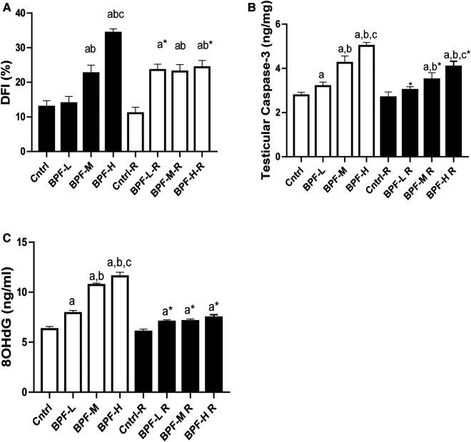 https://cdn.ncbi.nlm.nih.gov/pmc/blobs/bb81/10433915/04e9bc67db70/frph-05-1204728-g007.jpg