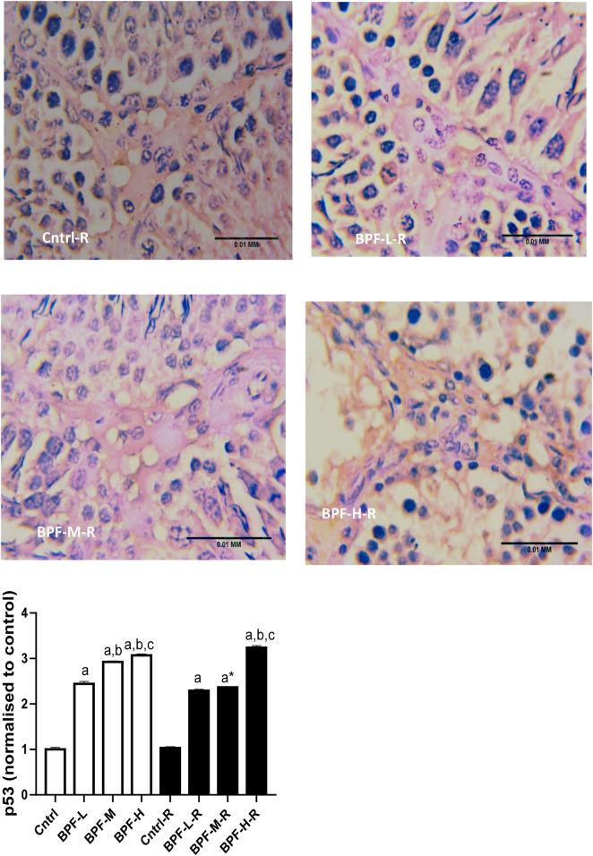 https://cdn.ncbi.nlm.nih.gov/pmc/blobs/bb81/10433915/279a47eb2725/frph-05-1204728-g009b.jpg