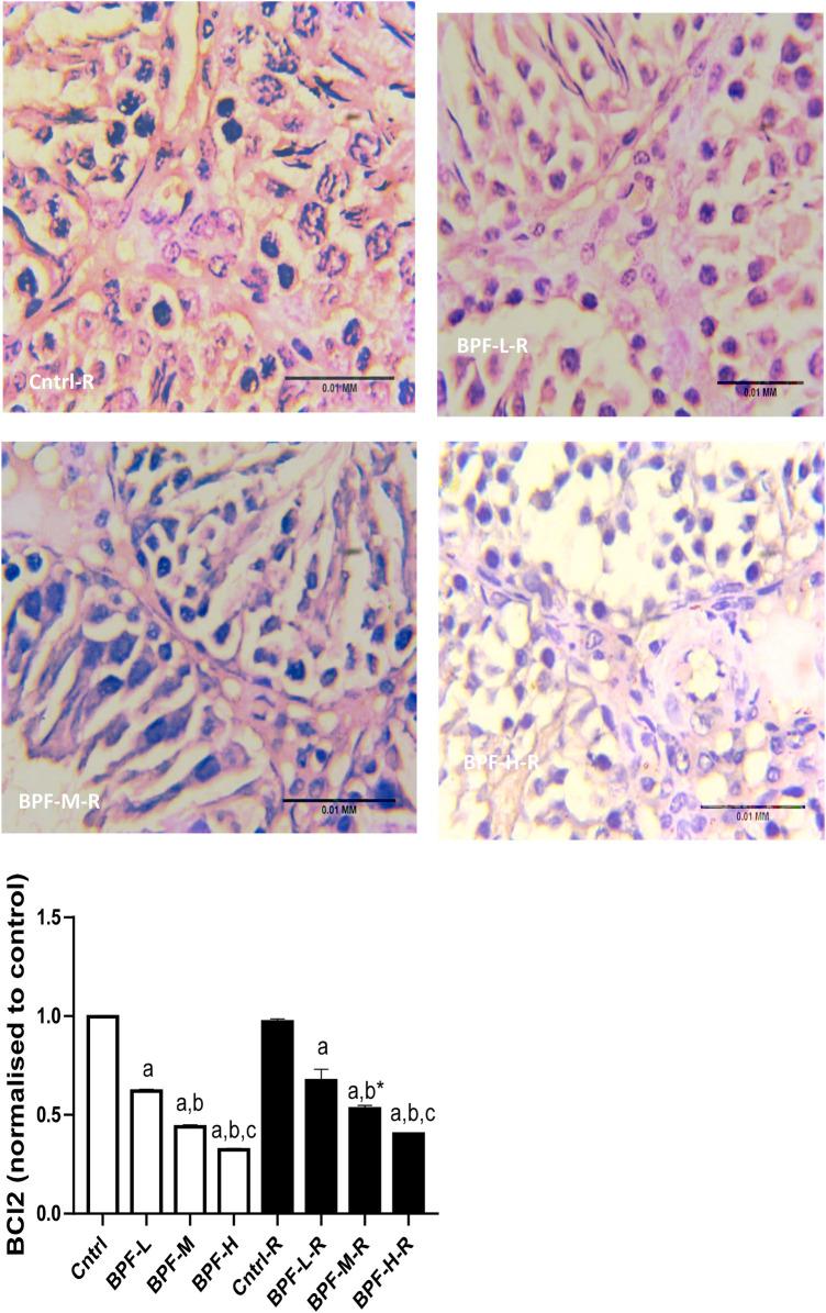 https://cdn.ncbi.nlm.nih.gov/pmc/blobs/bb81/10433915/324e455a4cf5/frph-05-1204728-g008b.jpg