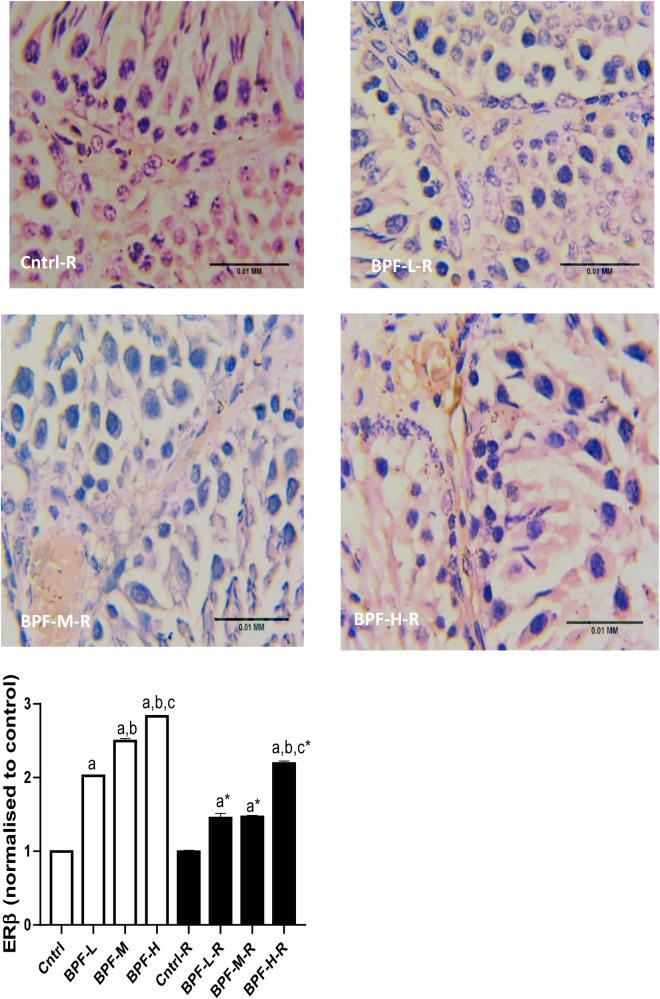 https://cdn.ncbi.nlm.nih.gov/pmc/blobs/bb81/10433915/5cfb99a63b03/frph-05-1204728-g010b.jpg