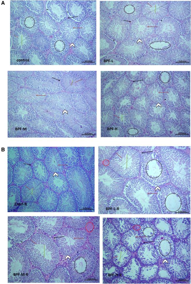 https://cdn.ncbi.nlm.nih.gov/pmc/blobs/bb81/10433915/b8f0f5dd58b0/frph-05-1204728-g001.jpg