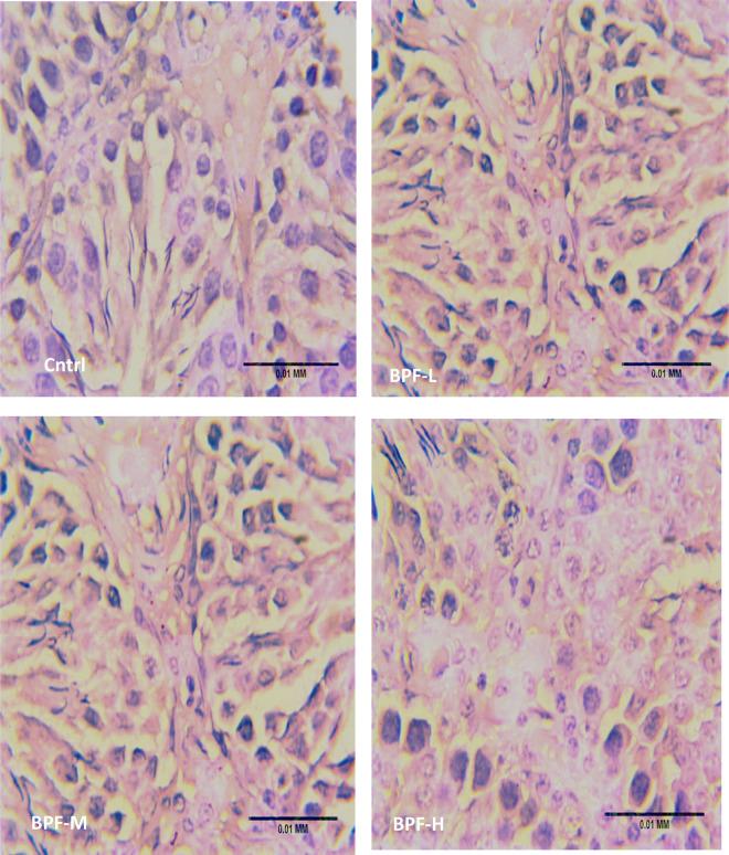 https://cdn.ncbi.nlm.nih.gov/pmc/blobs/bb81/10433915/d64c2bad7705/frph-05-1204728-g009a.jpg
