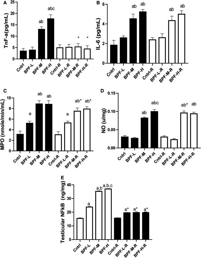 https://cdn.ncbi.nlm.nih.gov/pmc/blobs/bb81/10433915/e347e59082fd/frph-05-1204728-g004.jpg