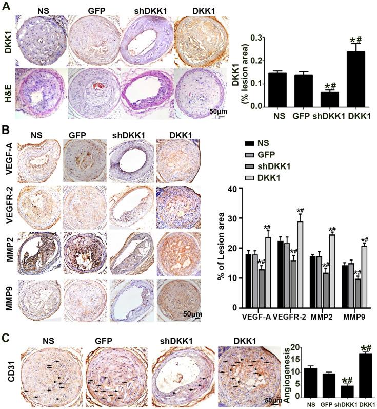 https://cdn.ncbi.nlm.nih.gov/pmc/blobs/bb81/8579465/520b526b3b42/ijbsv17p4122g001.jpg