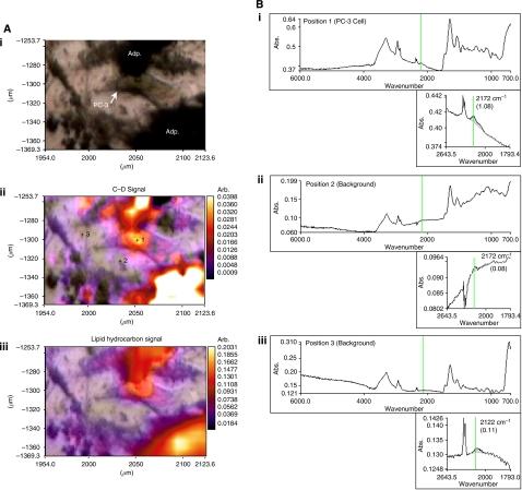 https://cdn.ncbi.nlm.nih.gov/pmc/blobs/bb82/2816655/7b9571a099a4/6605481f5.jpg