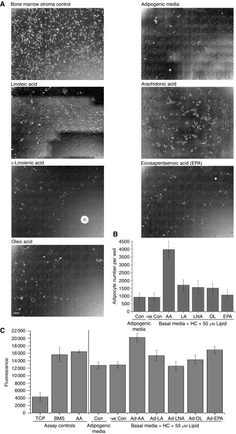 https://cdn.ncbi.nlm.nih.gov/pmc/blobs/bb82/2816655/a9a46b770a4d/6605481f2.jpg