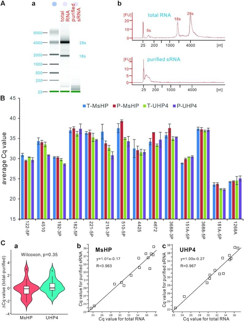 https://cdn.ncbi.nlm.nih.gov/pmc/blobs/bb82/8887422/49c667dddefe/gkab1153fig4.jpg