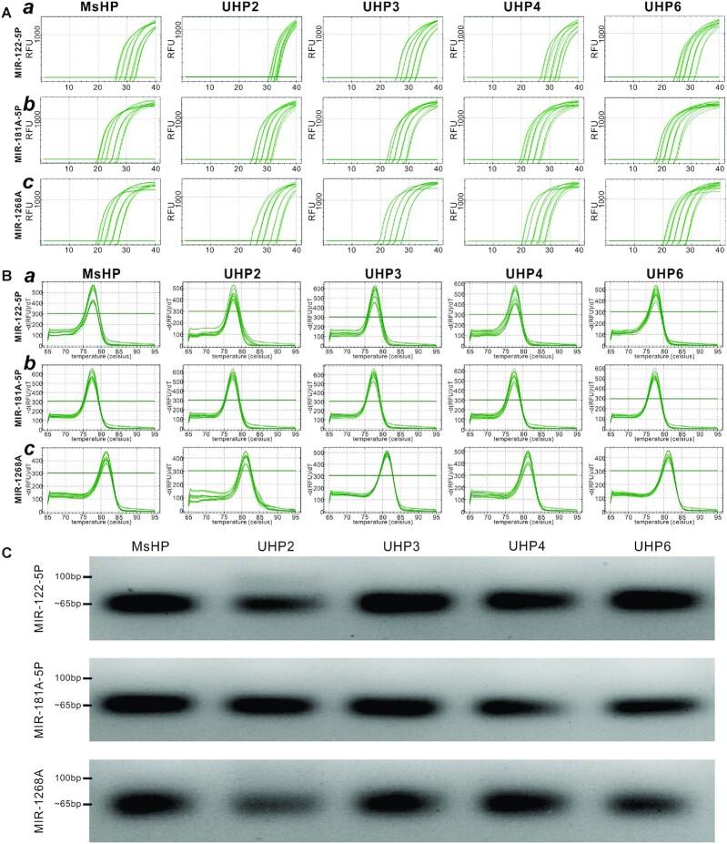 https://cdn.ncbi.nlm.nih.gov/pmc/blobs/bb82/8887422/e9ce97c95b49/gkab1153fig2.jpg