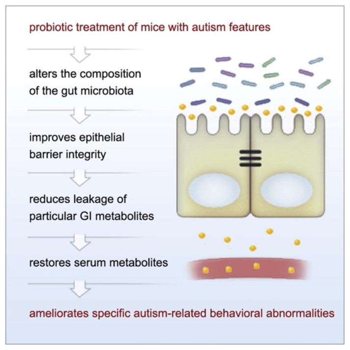 https://cdn.ncbi.nlm.nih.gov/pmc/blobs/bb84/8704412/5b55a9b0f8e4/nutrients-13-04497-g003.jpg