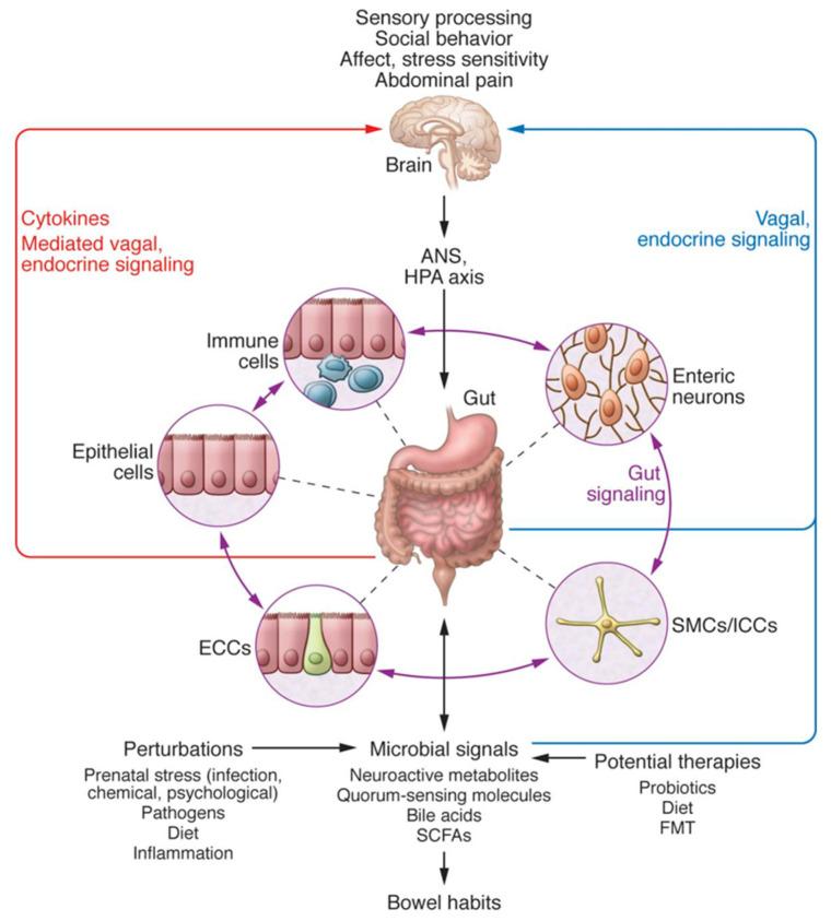 https://cdn.ncbi.nlm.nih.gov/pmc/blobs/bb84/8704412/bc1e0e61561d/nutrients-13-04497-g001.jpg