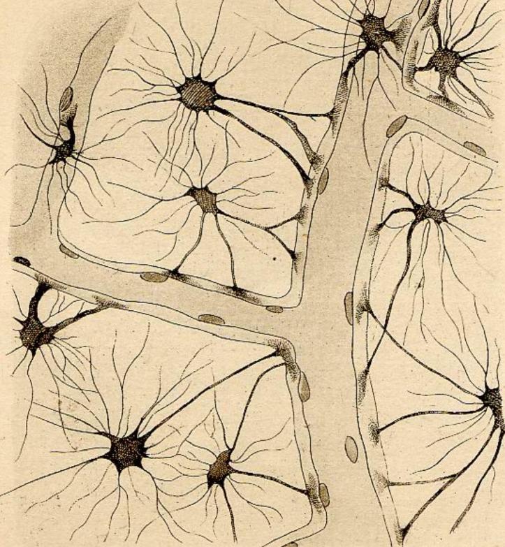 https://cdn.ncbi.nlm.nih.gov/pmc/blobs/bb89/3541578/051388c0e1d3/CroatMedJ_53_0518-F1.jpg