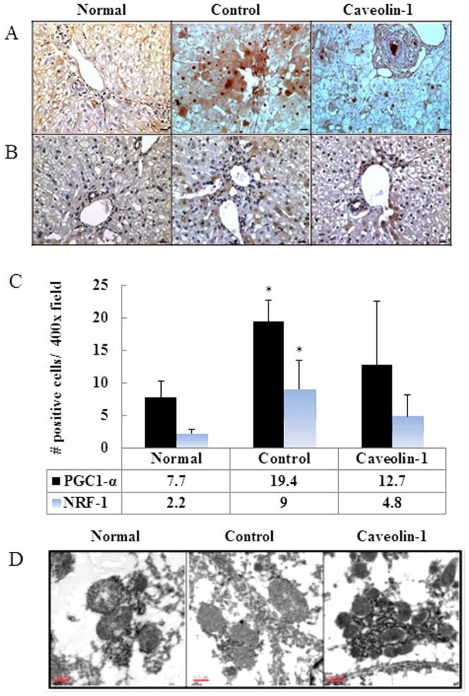 https://cdn.ncbi.nlm.nih.gov/pmc/blobs/bb89/3901645/98537d1ff82d/pone.0071862.g003.jpg