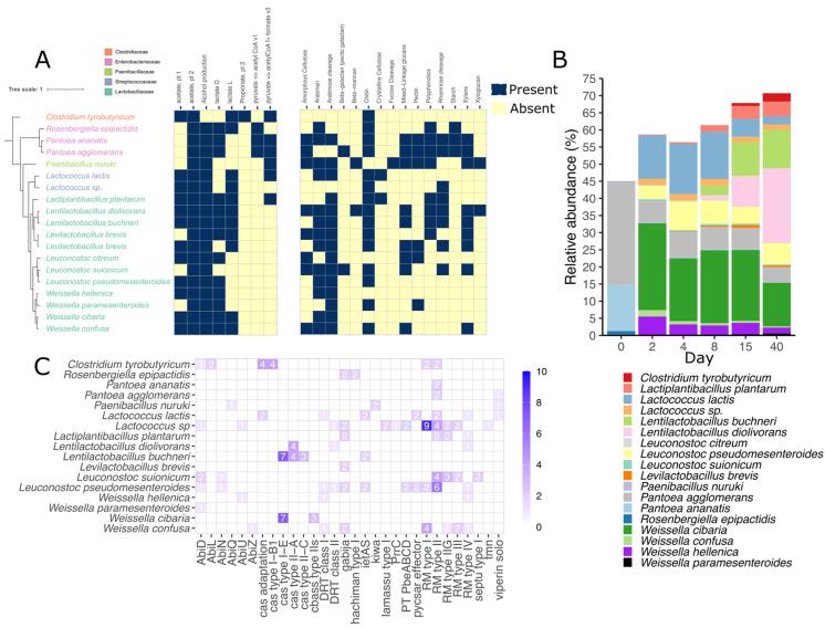 https://cdn.ncbi.nlm.nih.gov/pmc/blobs/bb8b/10146946/06ffa8ad363e/viruses-15-00951-g003.jpg