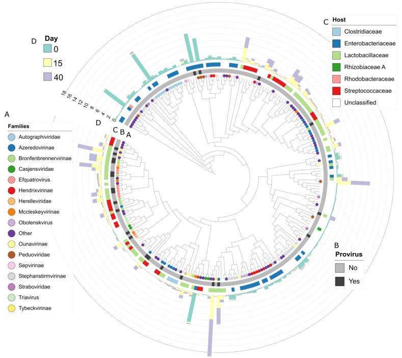 https://cdn.ncbi.nlm.nih.gov/pmc/blobs/bb8b/10146946/78ab7c8acb7c/viruses-15-00951-g006.jpg