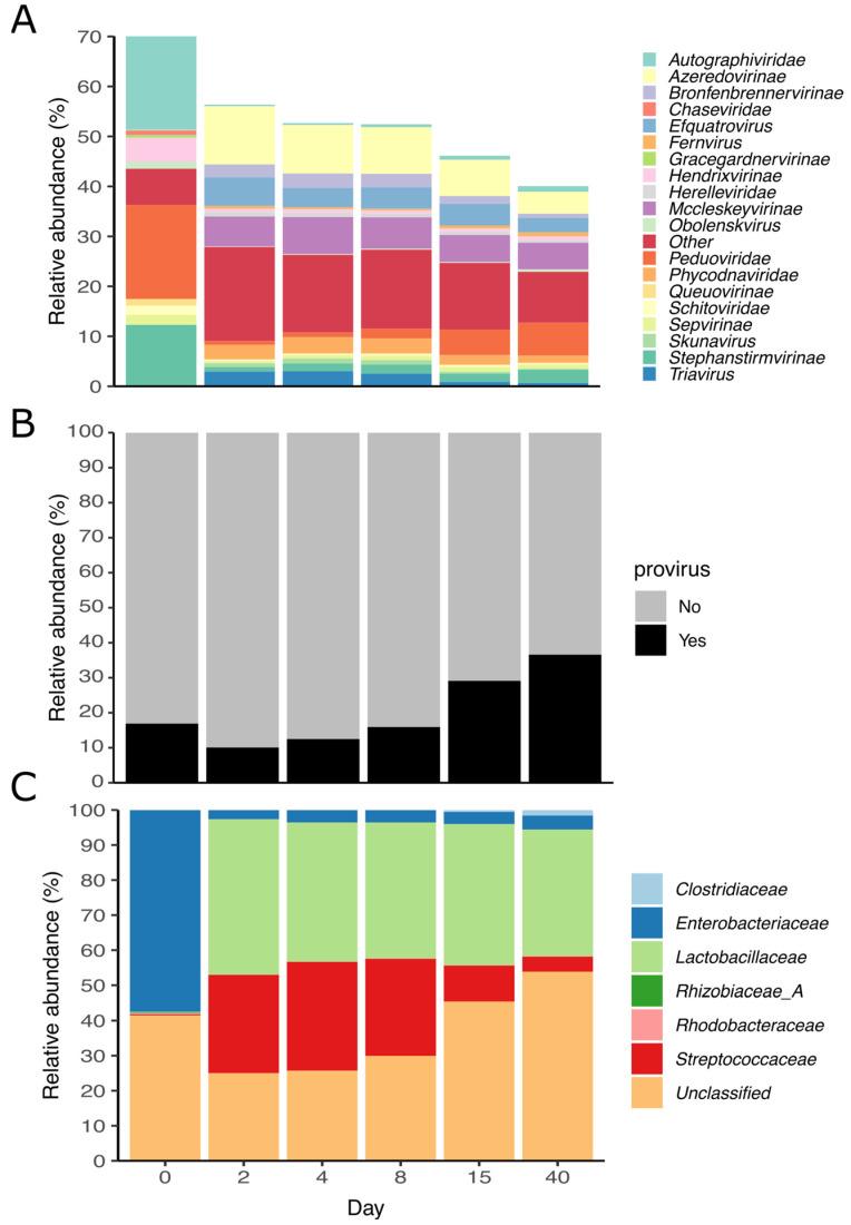 https://cdn.ncbi.nlm.nih.gov/pmc/blobs/bb8b/10146946/f7dc19de1a93/viruses-15-00951-g005.jpg