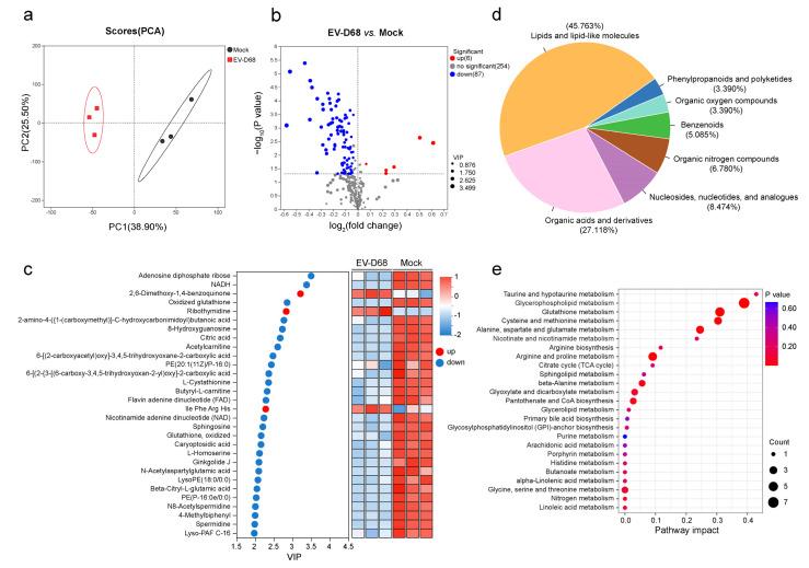 https://cdn.ncbi.nlm.nih.gov/pmc/blobs/bb8b/11860866/cc54286e8014/viruses-17-00175-g001.jpg