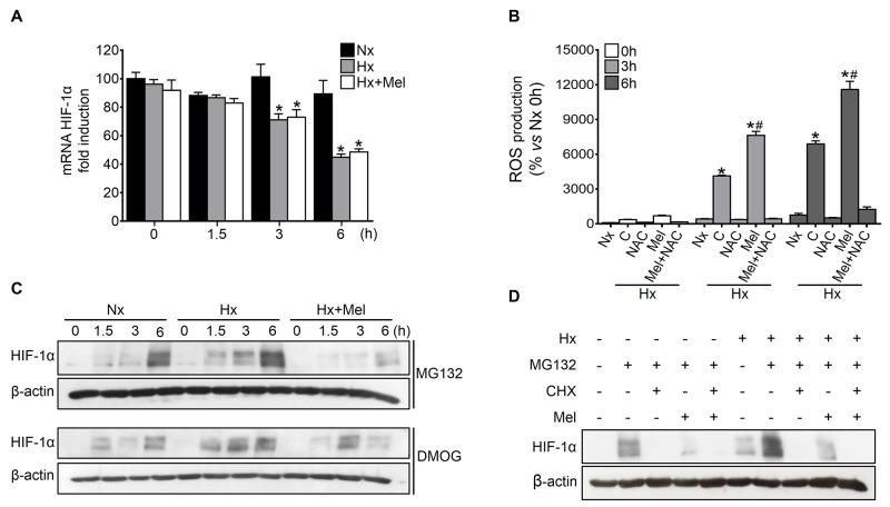 https://cdn.ncbi.nlm.nih.gov/pmc/blobs/bb8b/5710933/7947695085b7/oncotarget-08-91402-g003.jpg